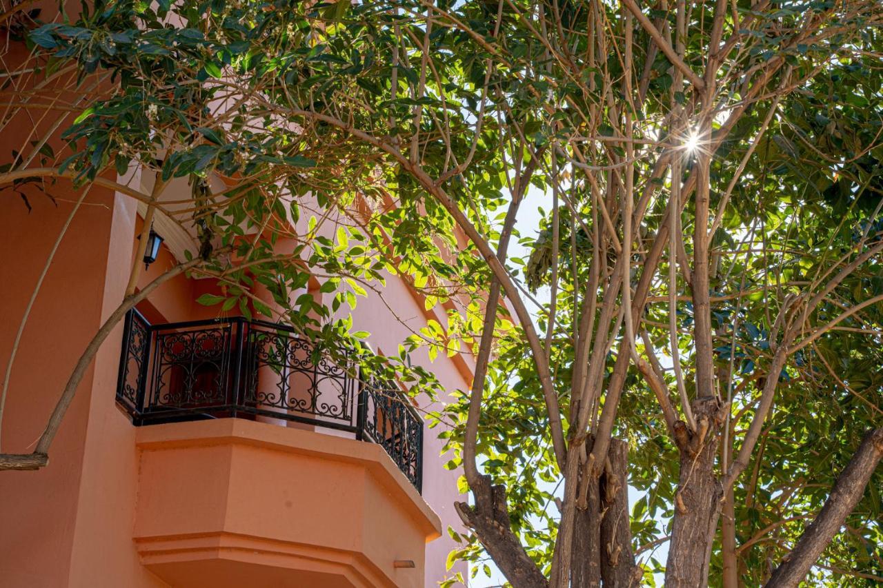 Las Palmeras Guest House Douar Caïd Layadi المظهر الخارجي الصورة