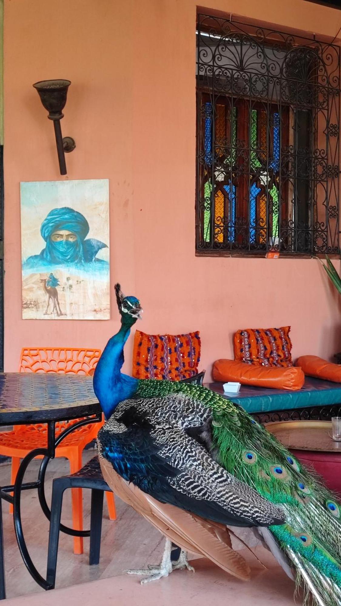 Las Palmeras Guest House Douar Caïd Layadi المظهر الخارجي الصورة