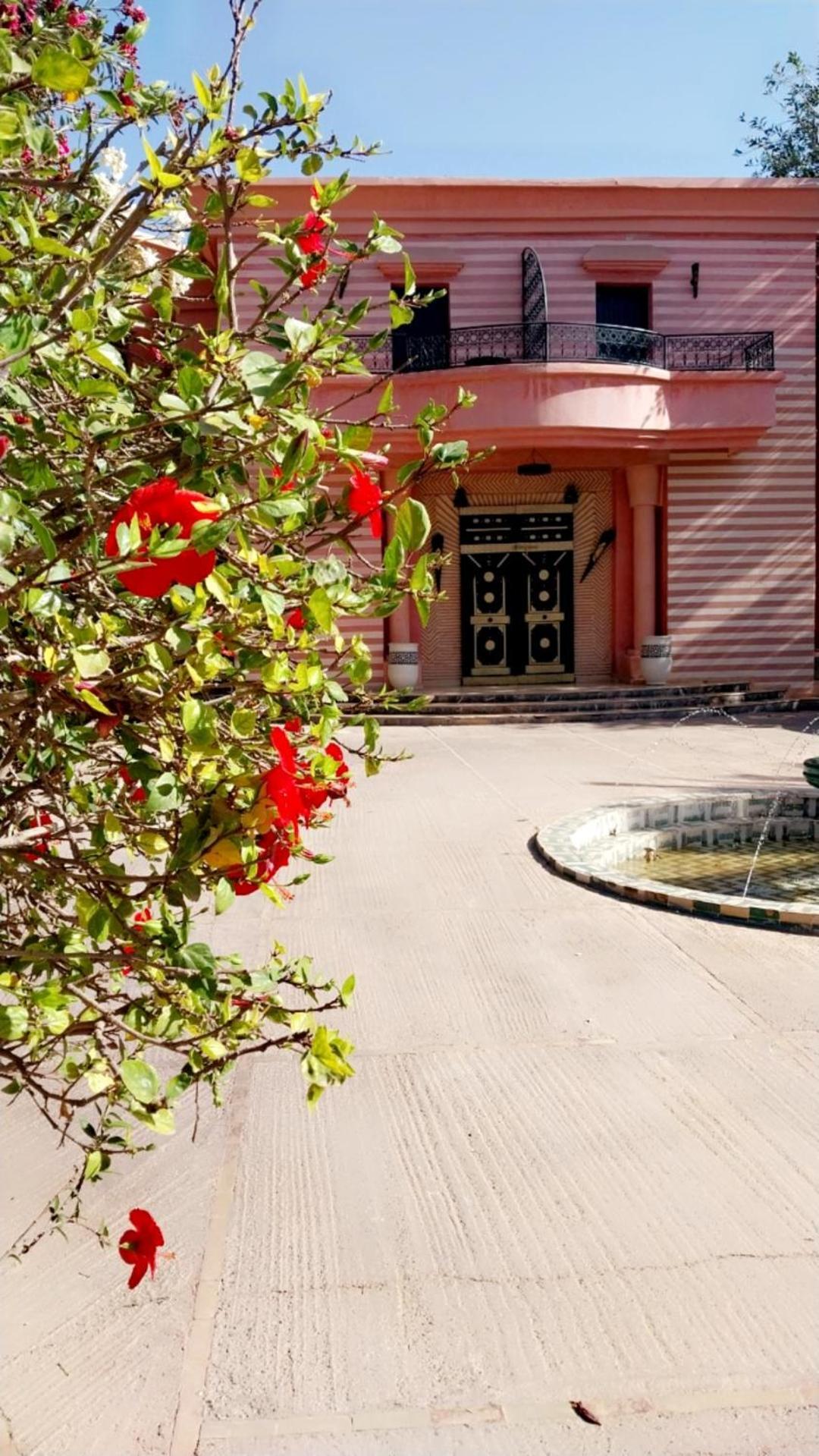 Las Palmeras Guest House Douar Caïd Layadi المظهر الخارجي الصورة